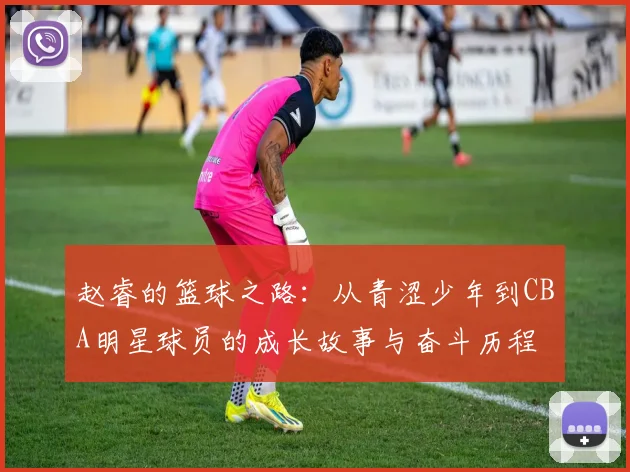 赵睿的篮球之路：从青涩少年到CBA明星球员的成长故事与奋斗历程