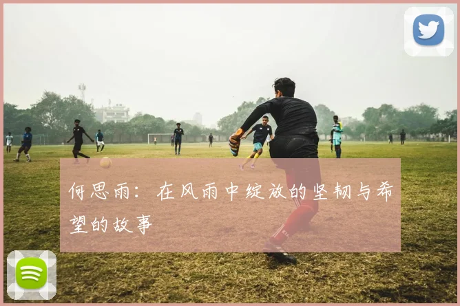 何思雨：在风雨中绽放的坚韧与希望的故事
