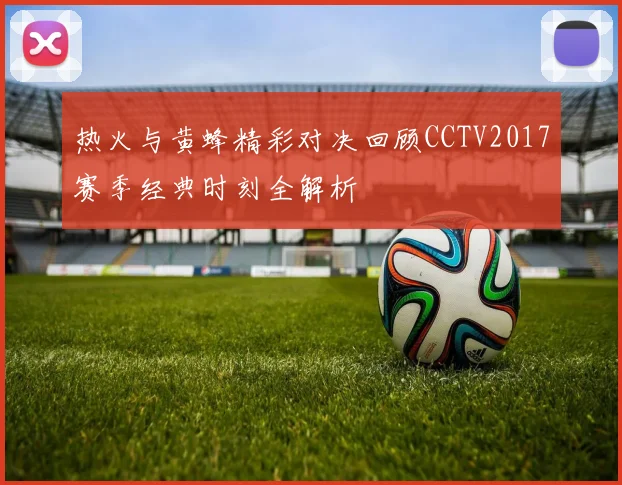 热火与黄蜂精彩对决回顾CCTV2017赛季经典时刻全解析