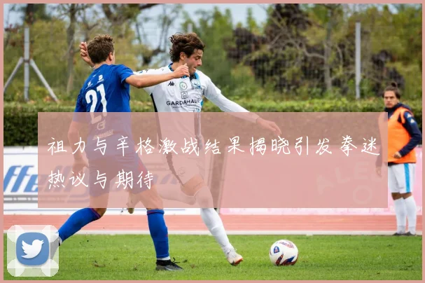 祖力与辛格激战结果揭晓引发拳迷热议与期待