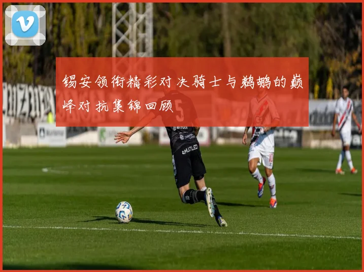 锡安领衔精彩对决骑士与鹈鹕的巅峰对抗集锦回顾