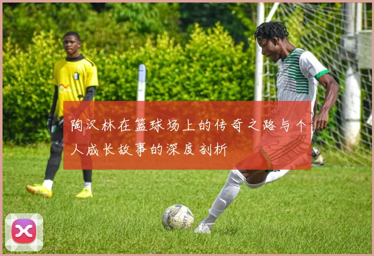 陶汉林在篮球场上的传奇之路与个人成长故事的深度剖析