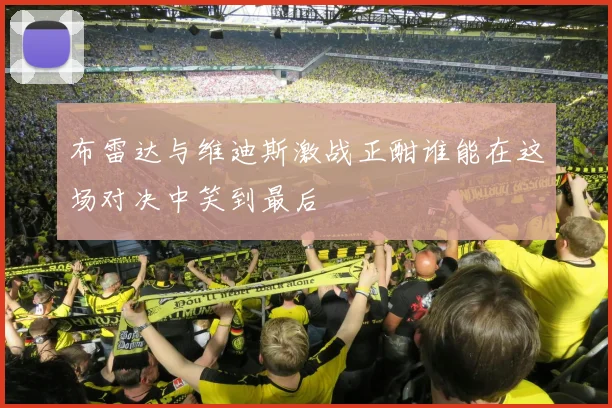 布雷达与维迪斯激战正酣谁能在这场对决中笑到最后